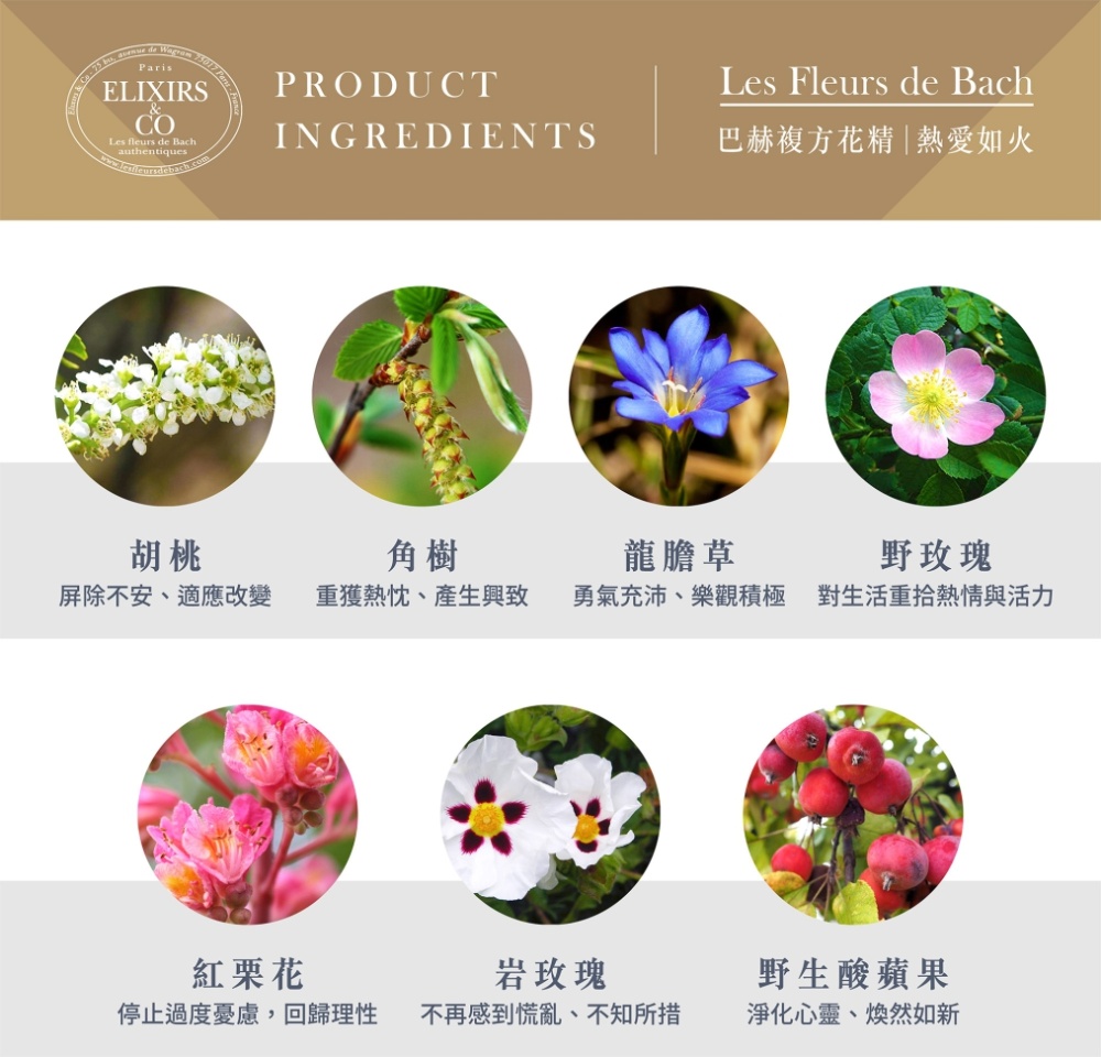 【巴赫花精】熱愛如火複方花精