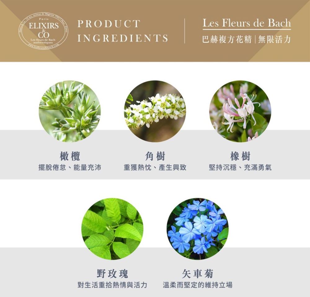 【巴赫花精】無限活力複方花精