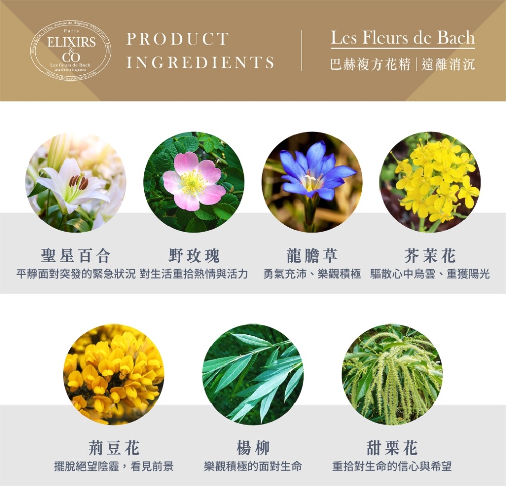 【巴赫花精】遠離消沉複方花精