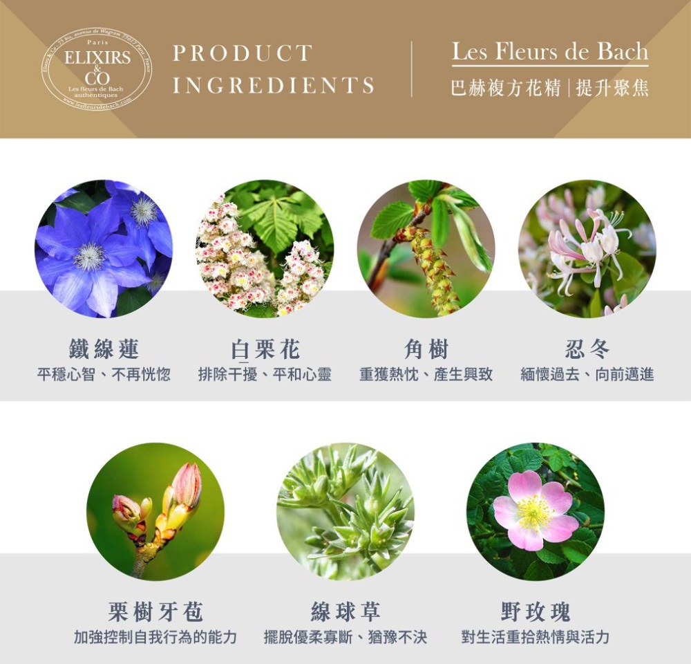 【巴赫花精】提升聚焦複方花精