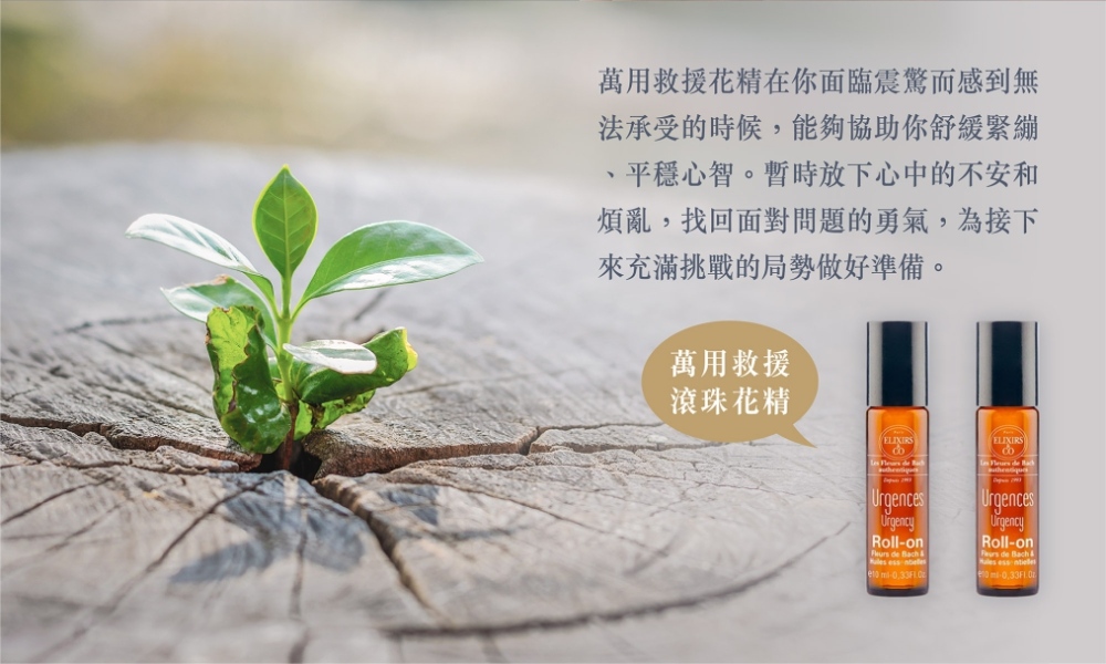 萬用救援滾珠花精